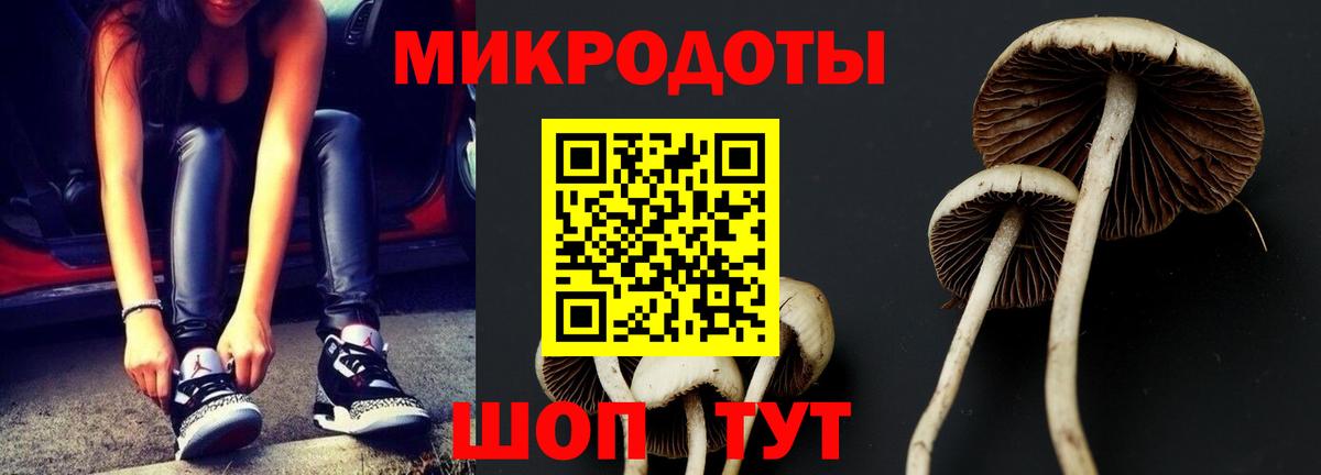 Псилоцибиновые грибы Psilocybine cubensis  закладки  Каменск-Уральский  Вход с VPN 